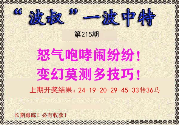 波叔中特 第215期