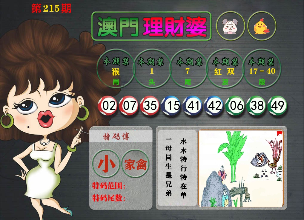 理财婆 第215期