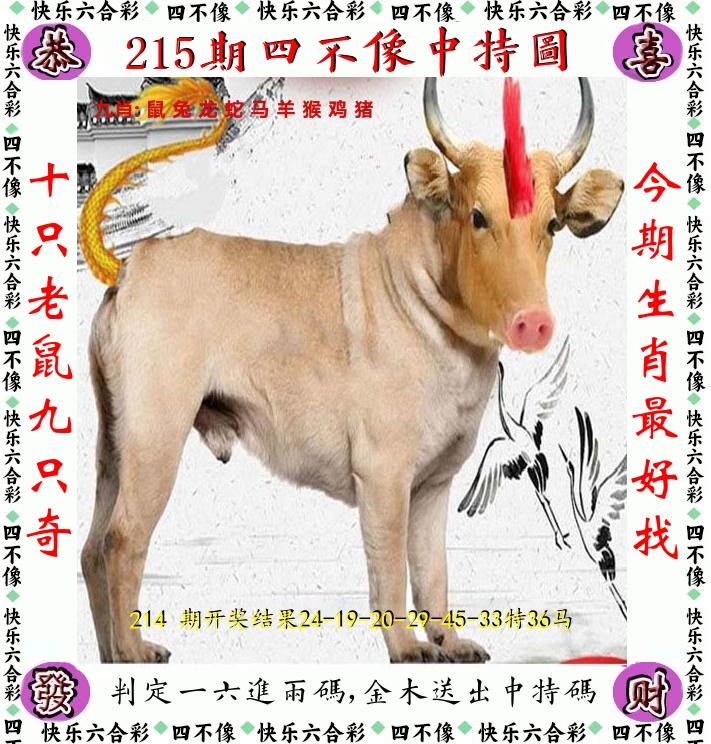 四不像 第215期