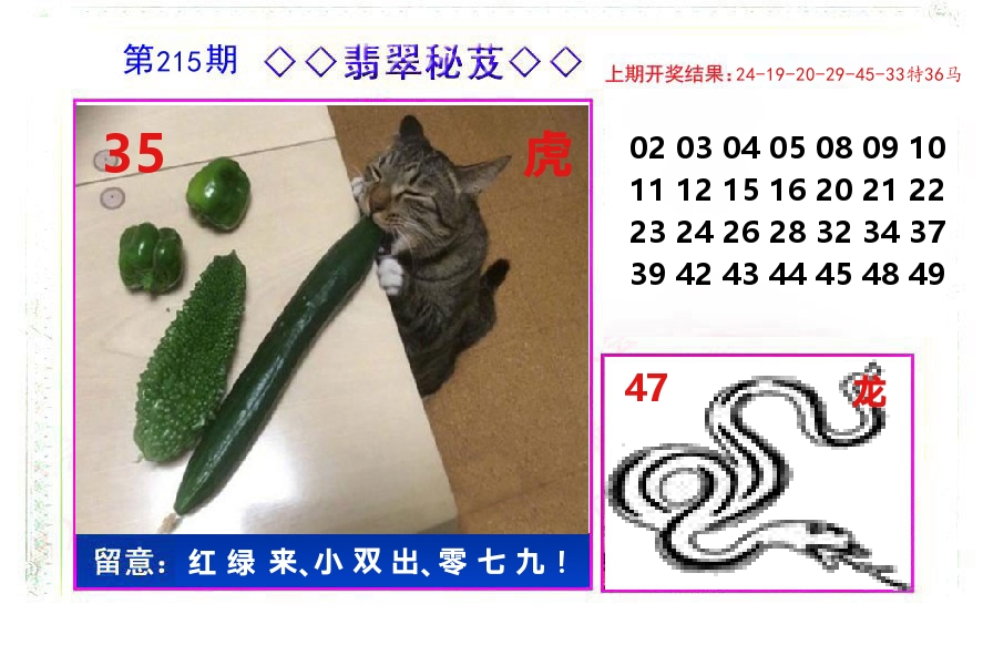 翡翠秘芨 第215期