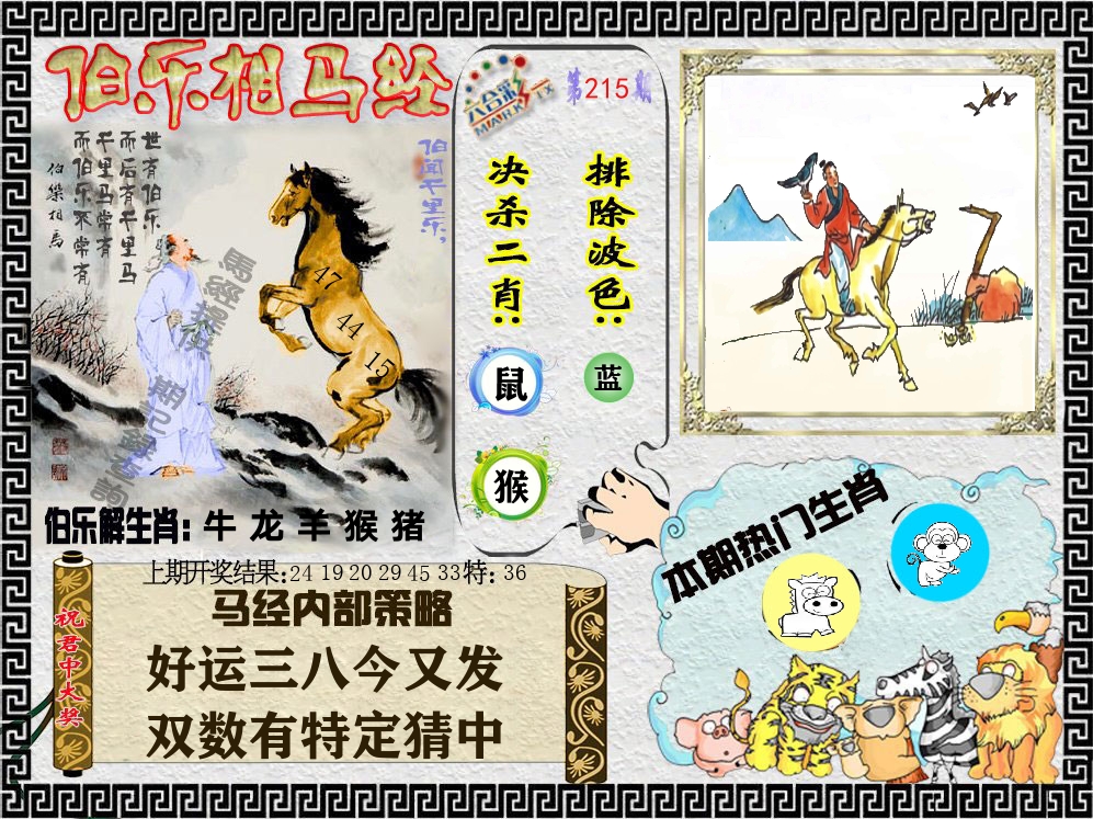 伯乐相马经 第215期