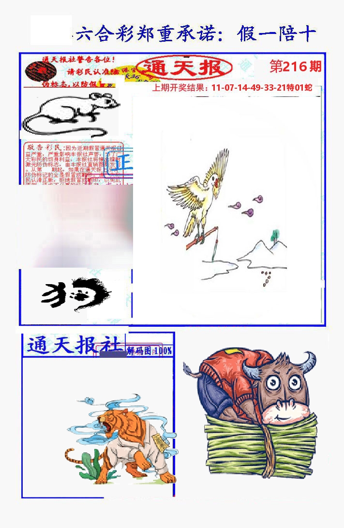 通天报 第216期