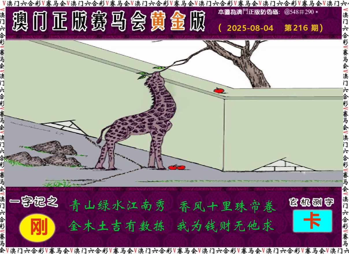 赛马会黄金版 第216期