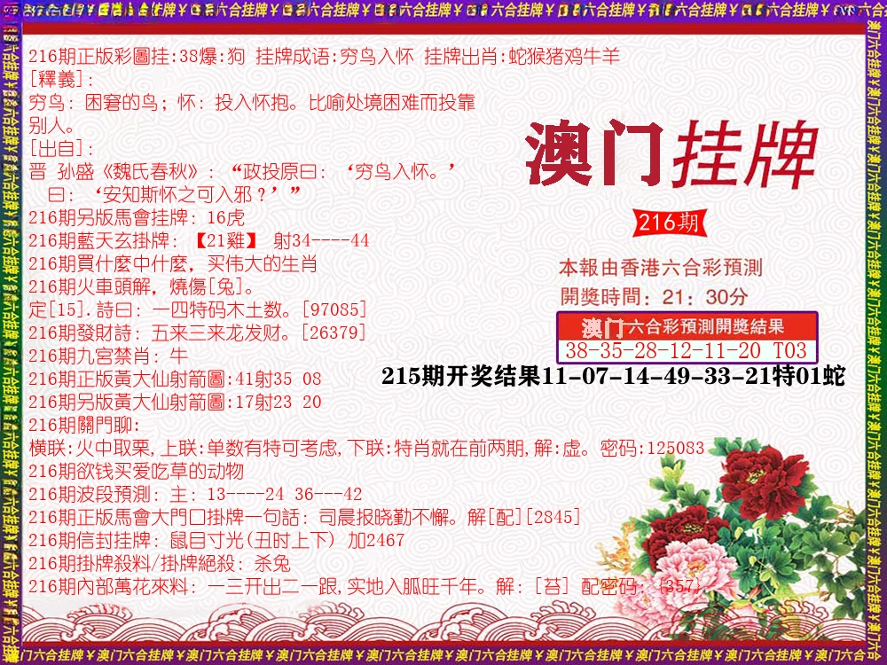 澳门挂牌 第216期