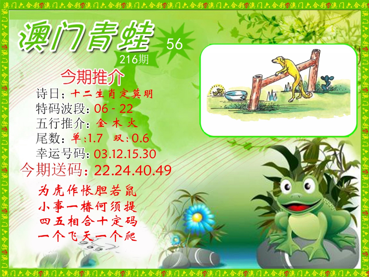 青蛙系列56 第216期