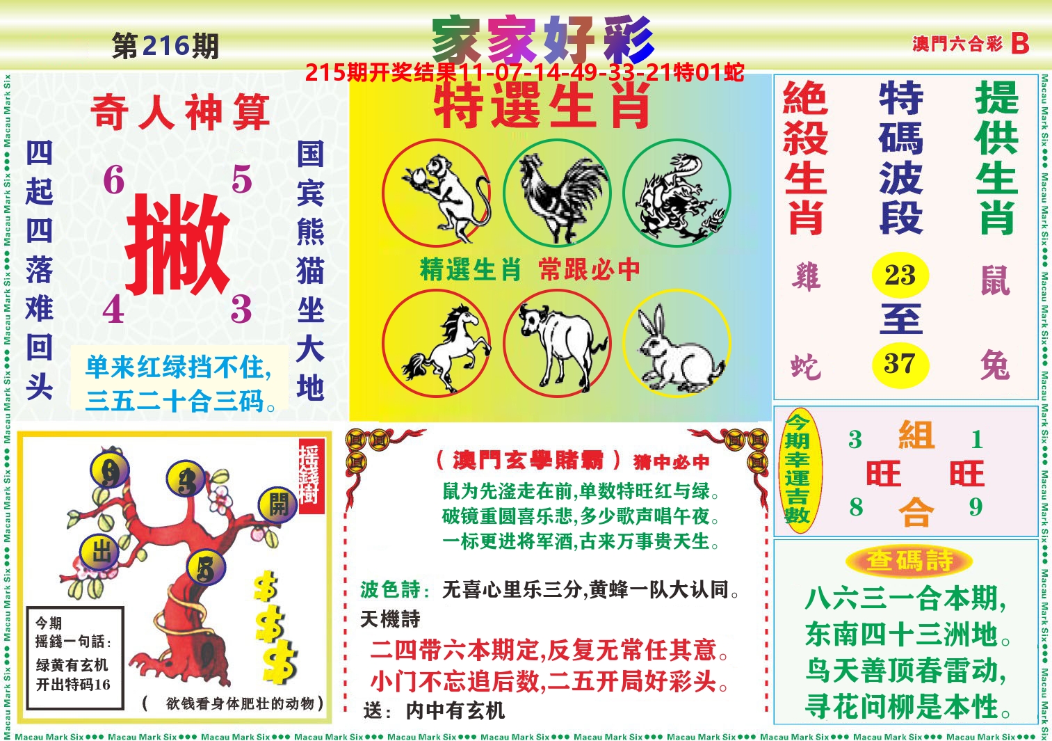 家家好彩B 第216期