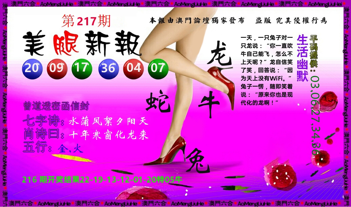 美腿新报 第217期