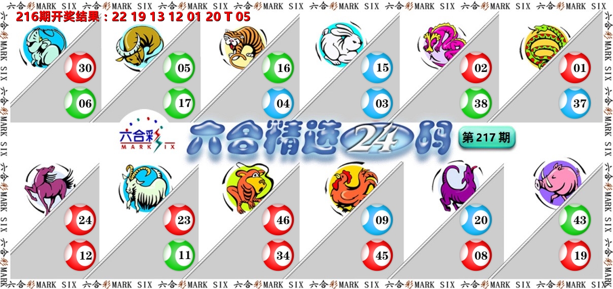 六合精选24码 第217期