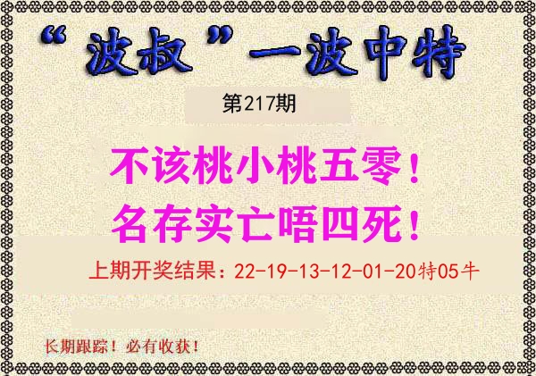 波叔中特 第217期