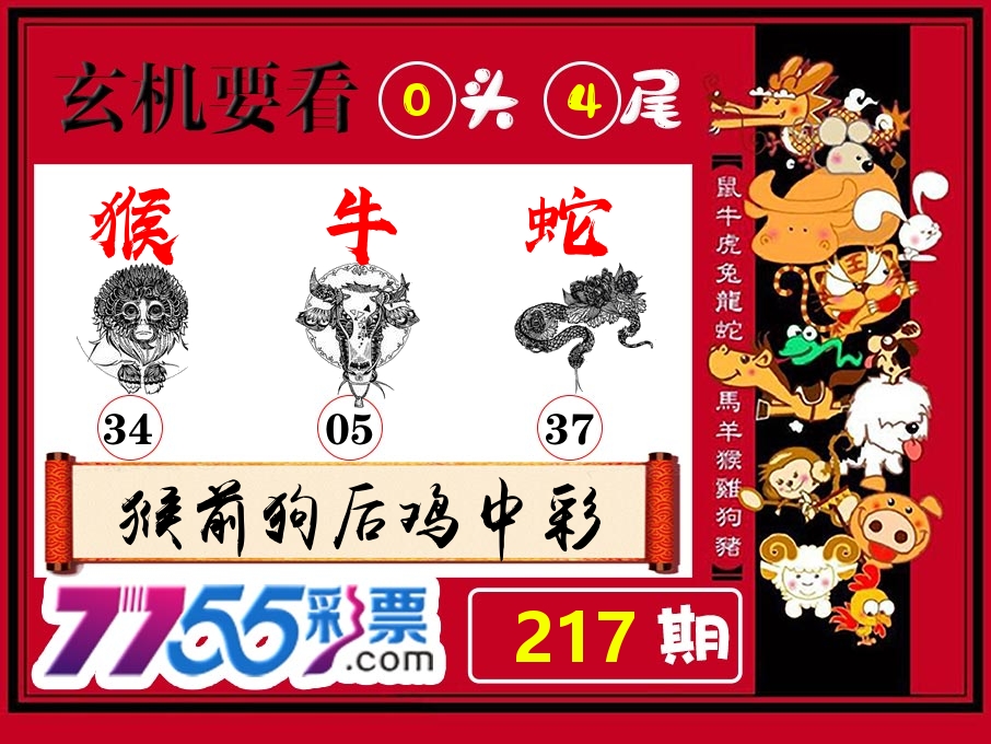 玄机要看 第217期
