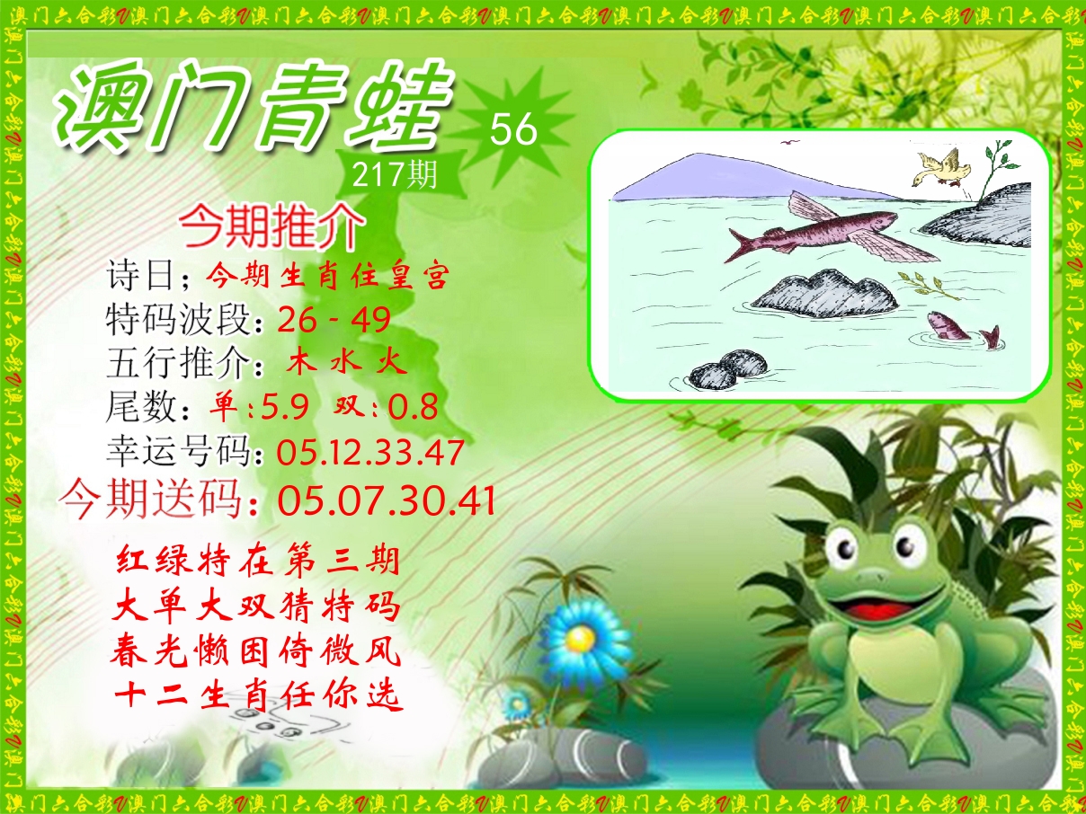 青蛙系列56 第217期