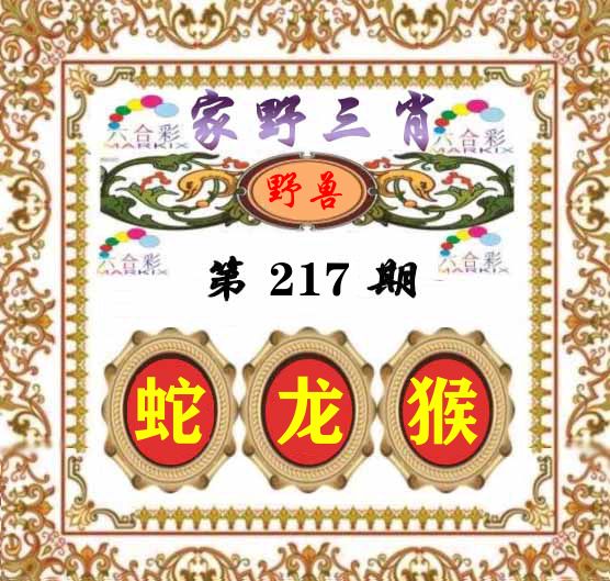 家野三肖 第217期