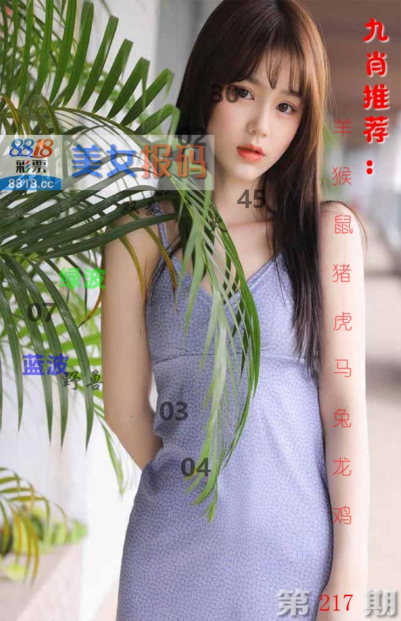 美女报码 第217期