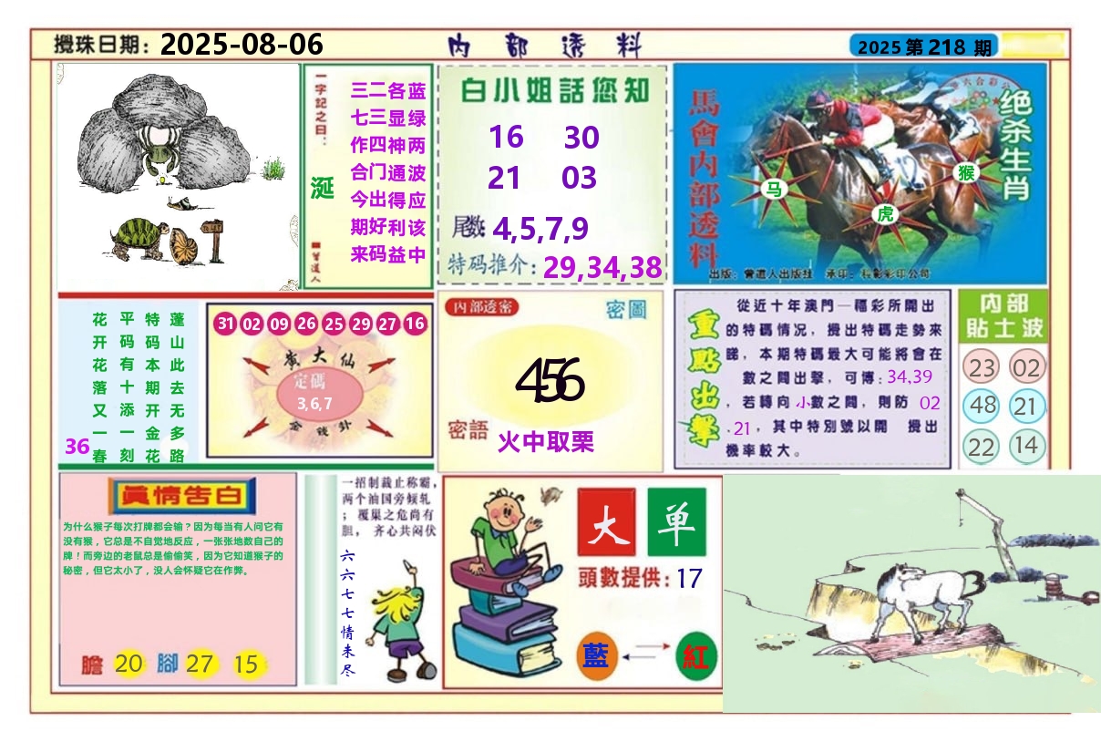 澳门内部透料A 第218期
