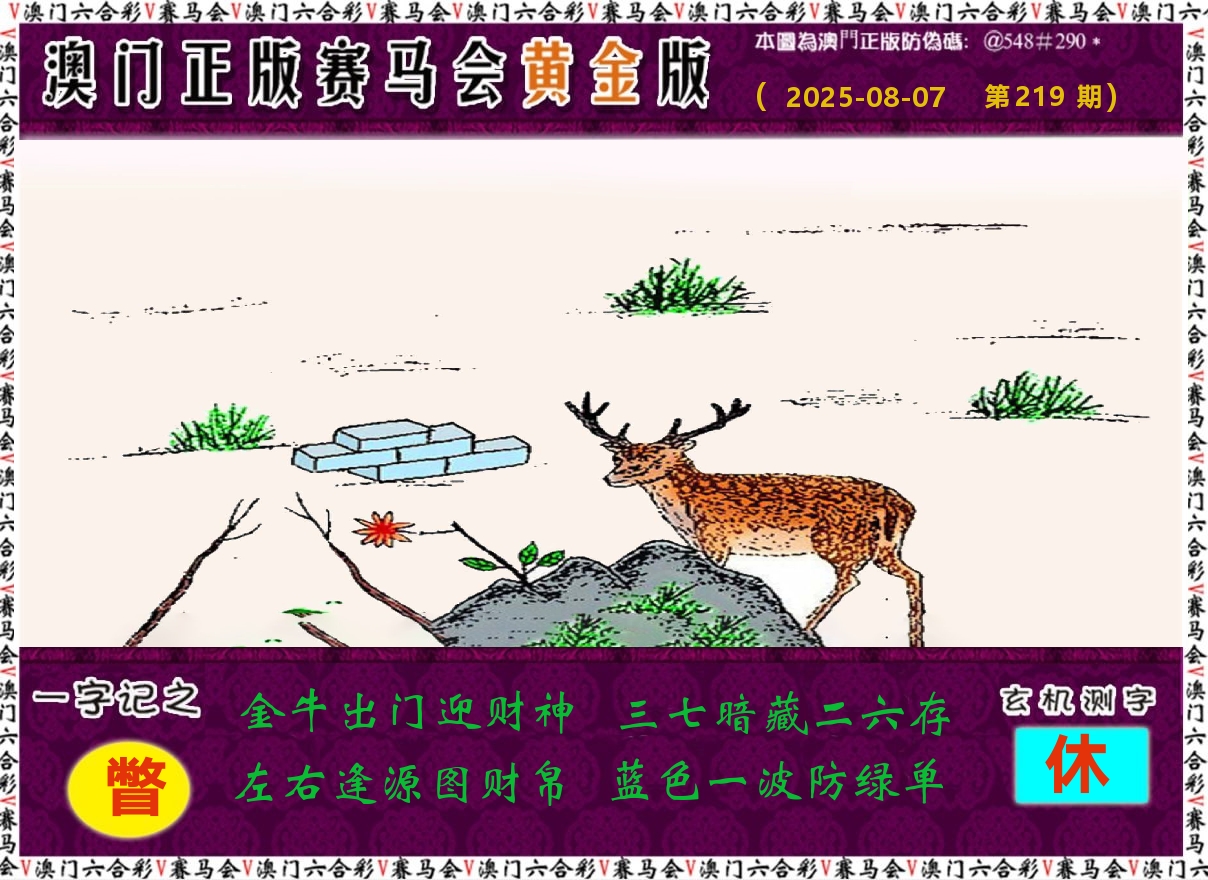 赛马会黄金版 第219期