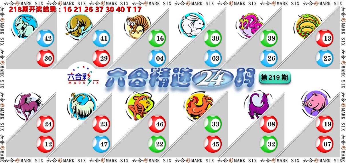 六合精选24码 第219期