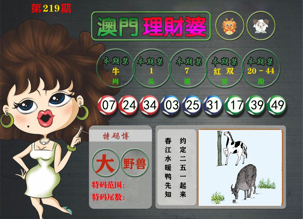 理财婆 第219期