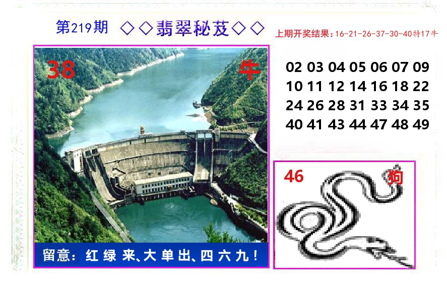 翡翠秘芨 第219期