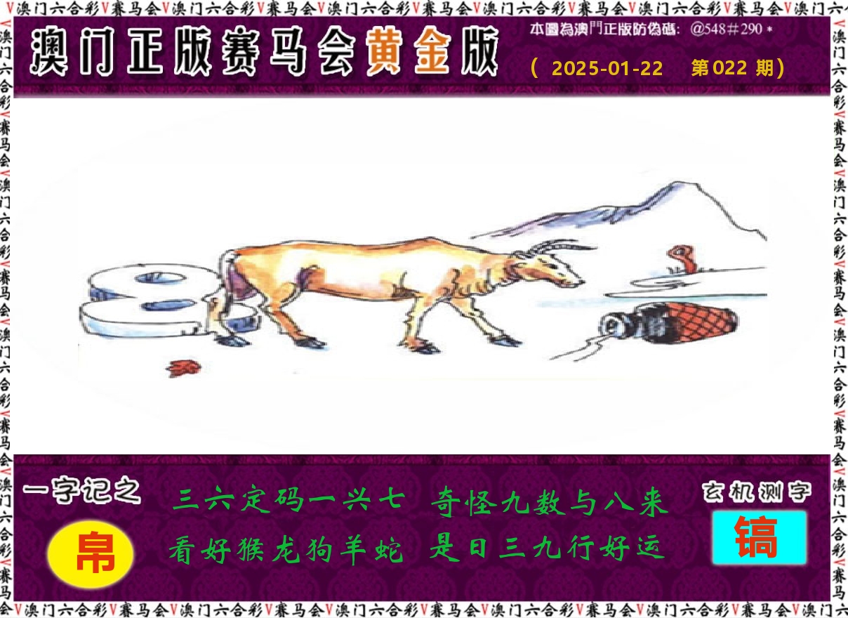 赛马会黄金版 第22期