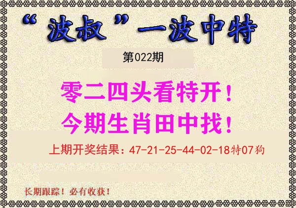 波叔中特 第22期