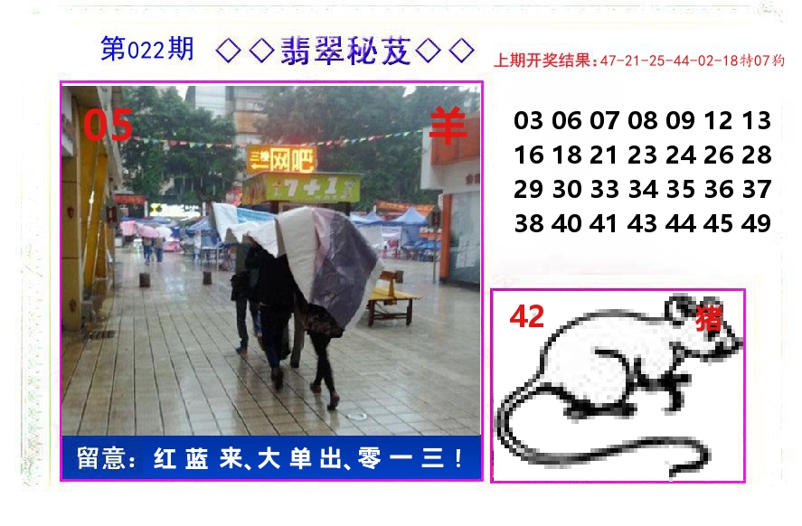 翡翠秘芨 第22期