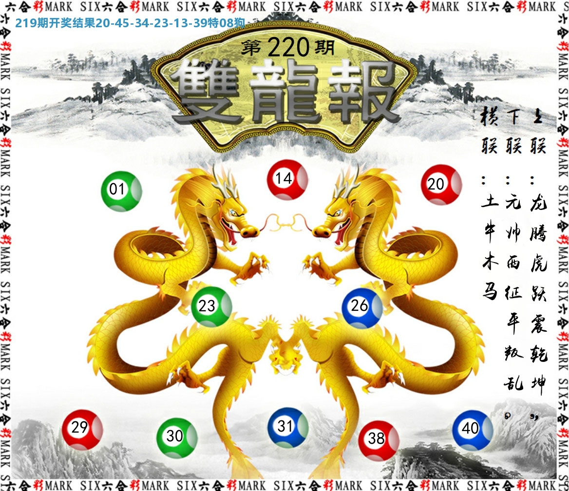 双龙报 第220期