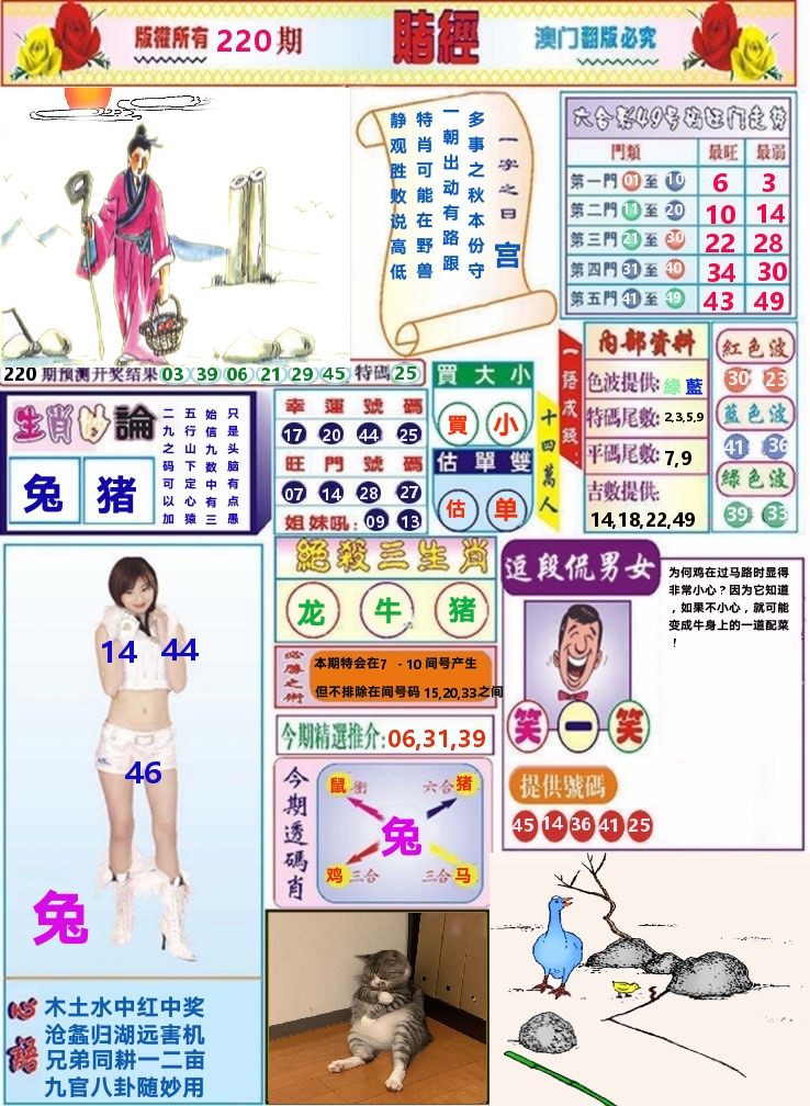 澳门赌经 第220期