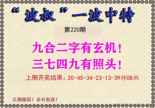 波叔中特 第220期