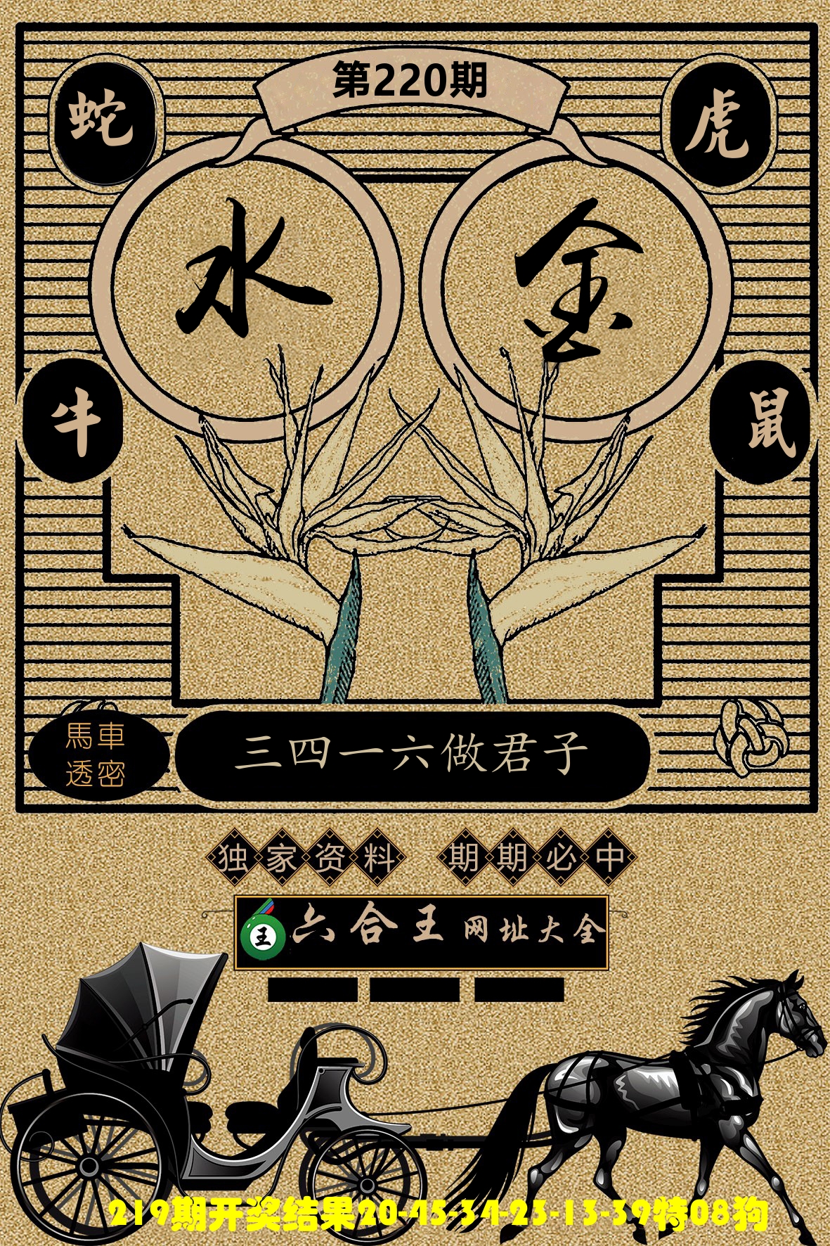 六合王马车透密 第220期