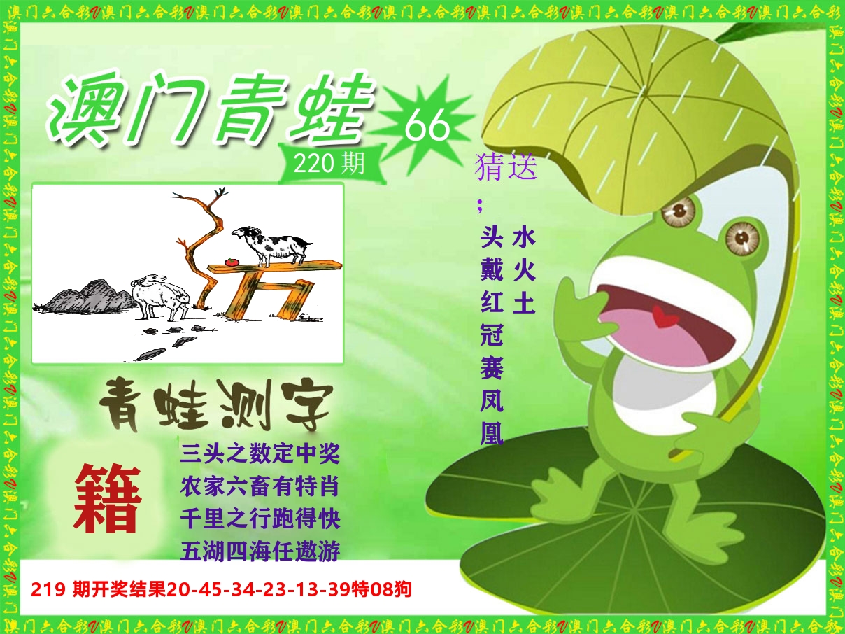 青蛙系列66 第220期