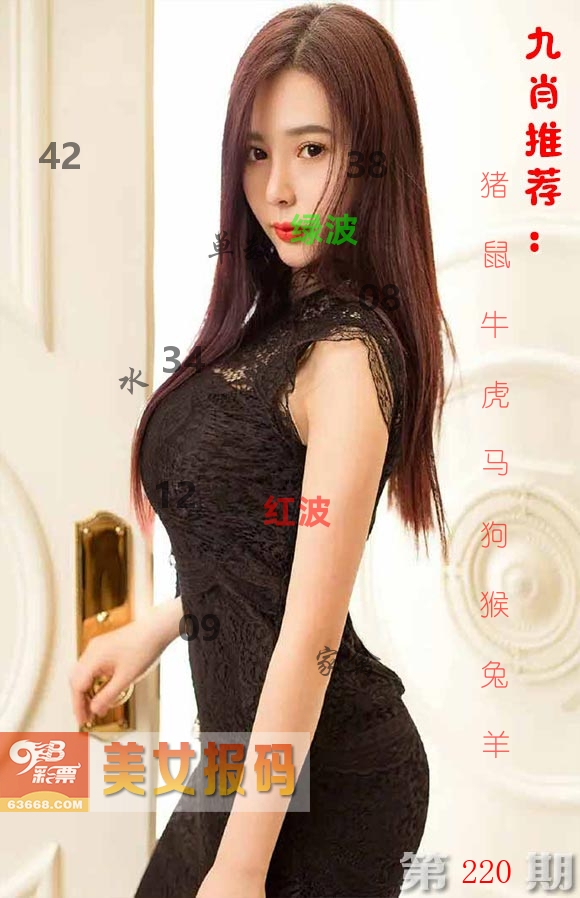 美女报码 第220期
