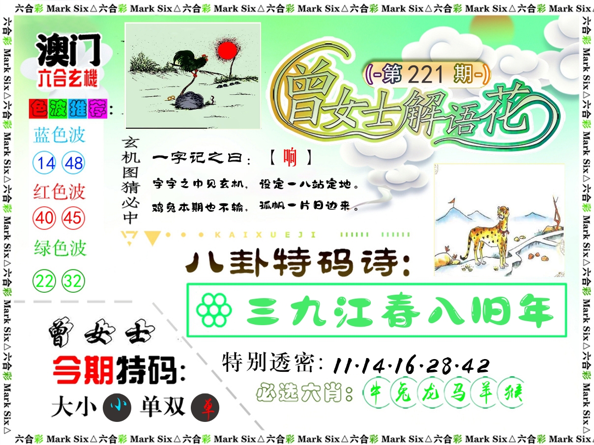 曾女士解语花 第221期