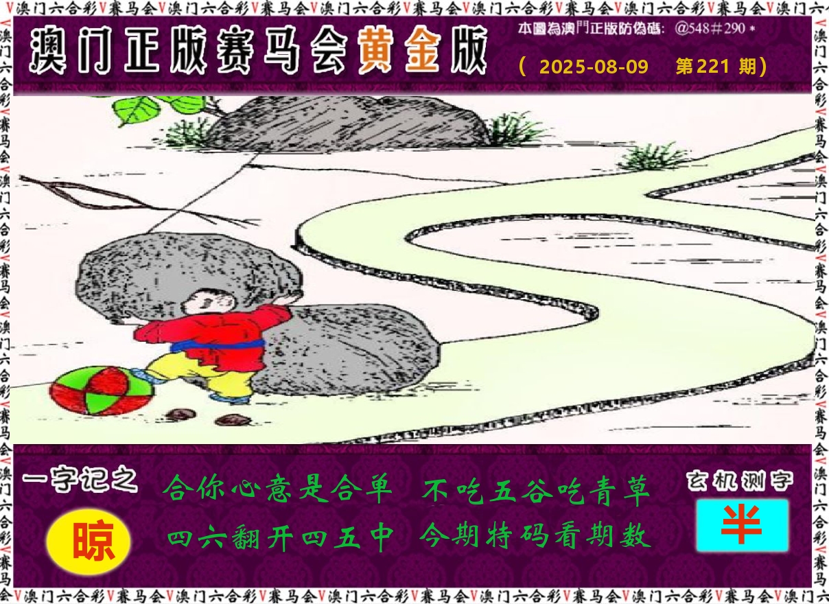 赛马会黄金版 第221期