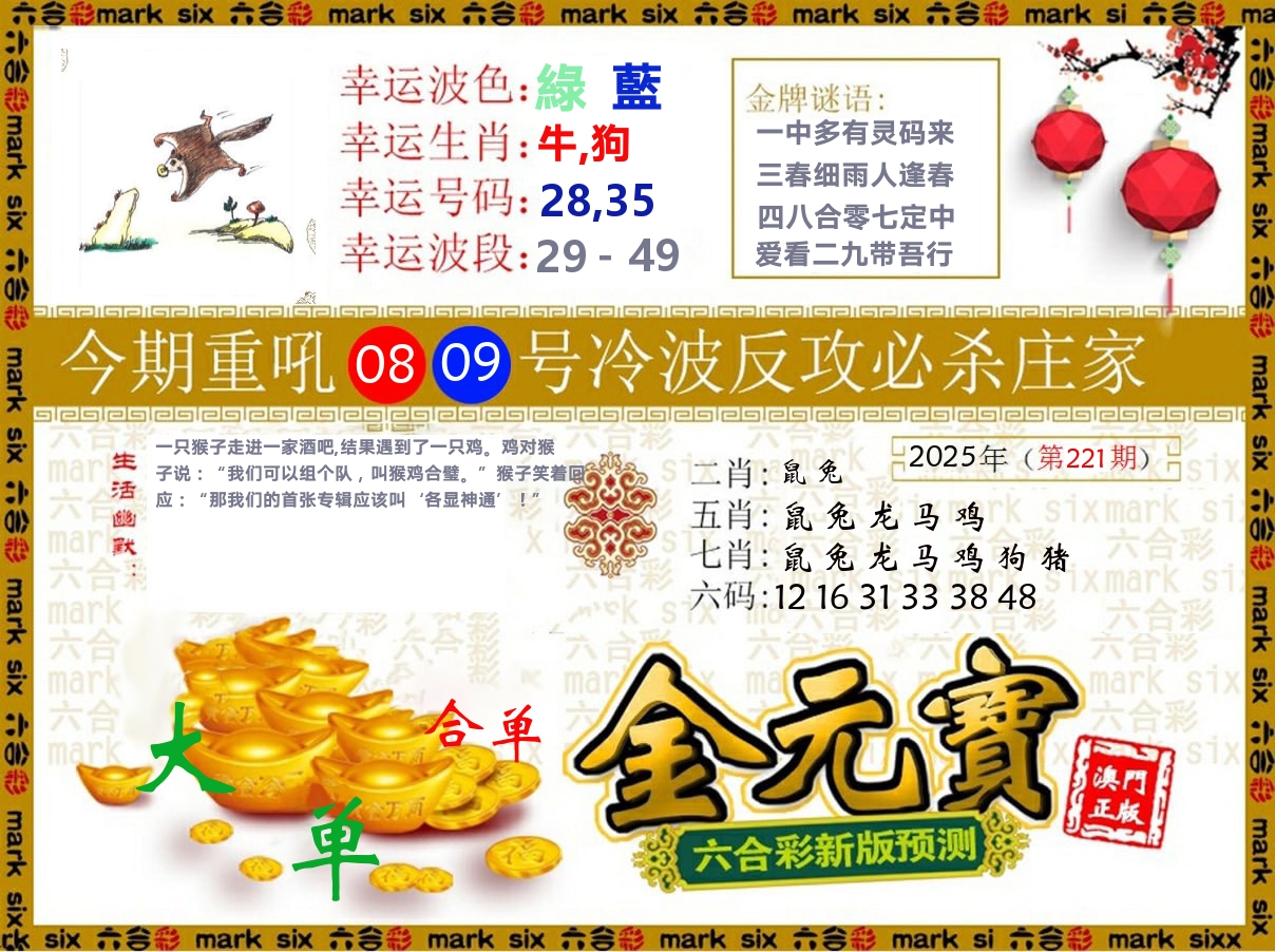 金元宝 第221期