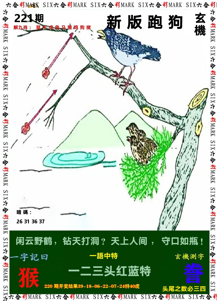 悟入其图 第221期