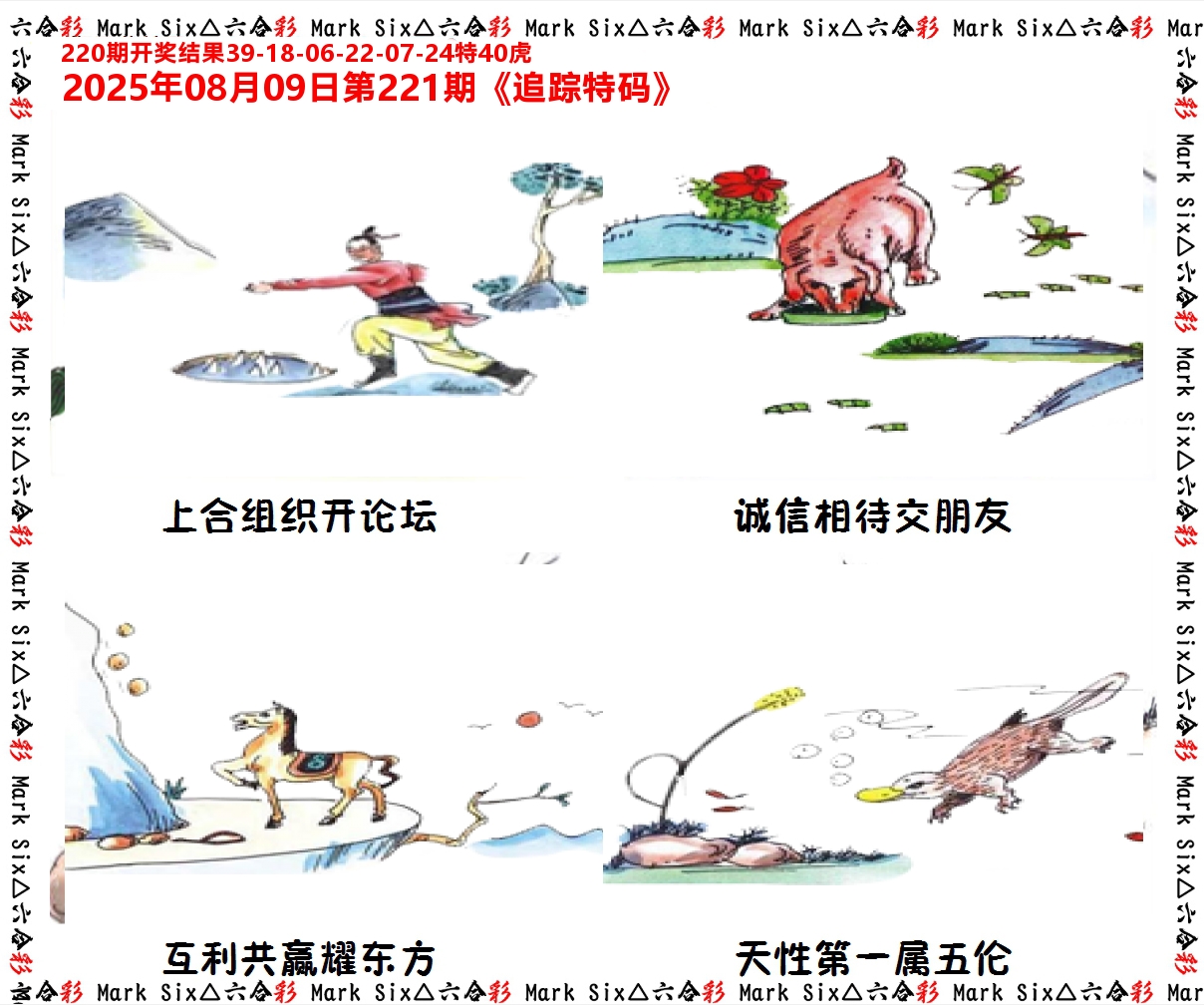 追踪特码 第221期