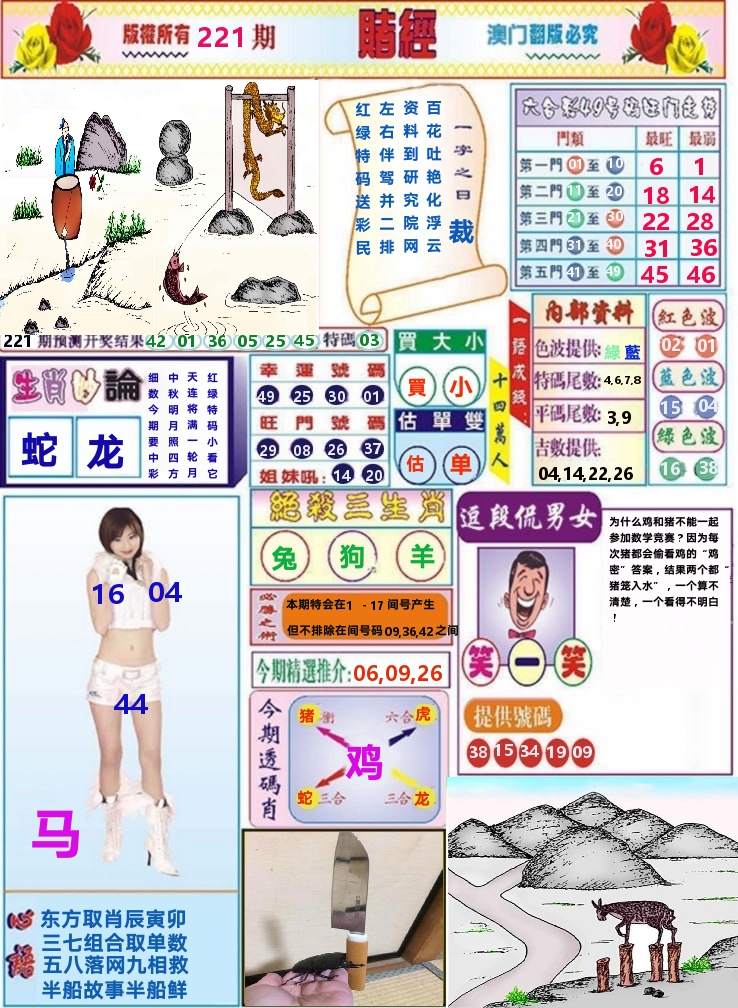澳门赌经 第221期