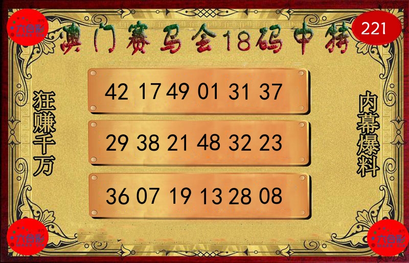 赛马会18码 第221期