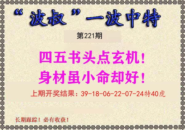 波叔中特 第221期