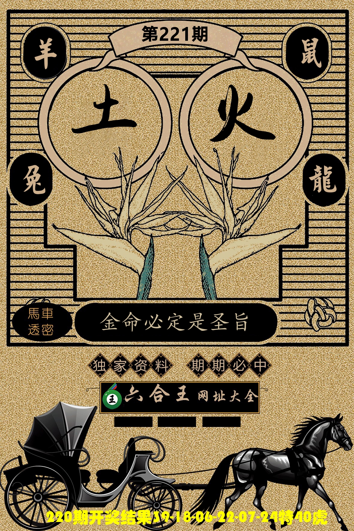 六合王马车透密 第221期
