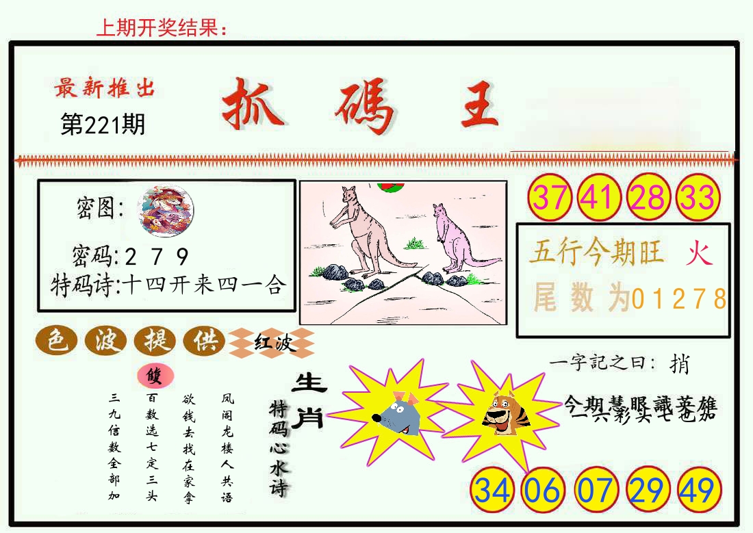 最新抓码王 第221期