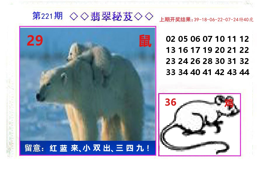 翡翠秘芨 第221期