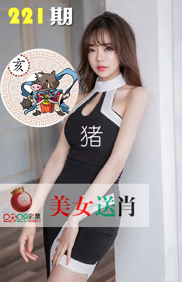 美女送肖 第221期