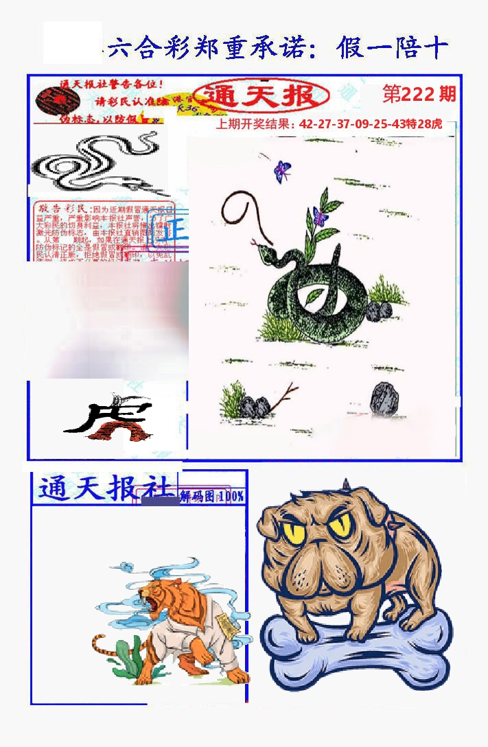 通天报 第222期