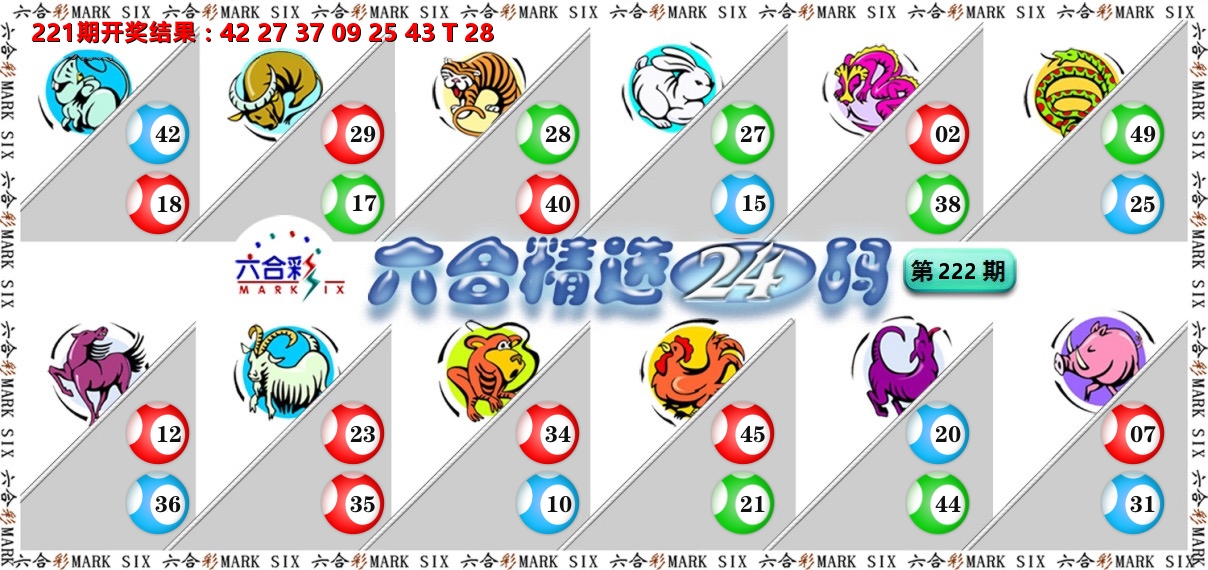 六合精选24码 第222期