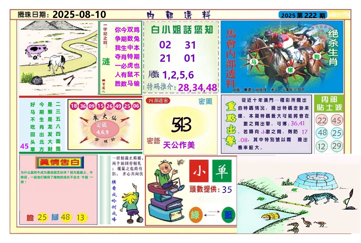 澳门内部透料A 第222期