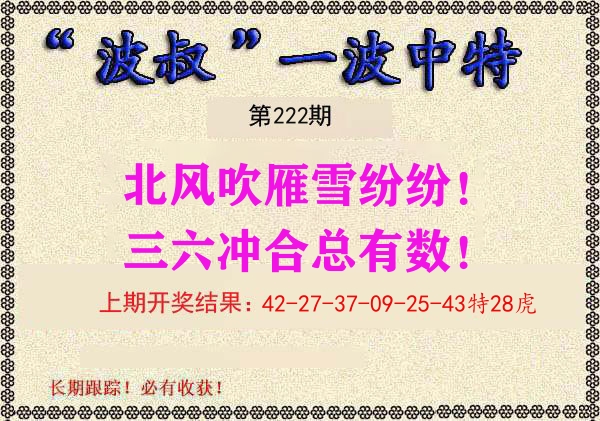 波叔中特 第222期