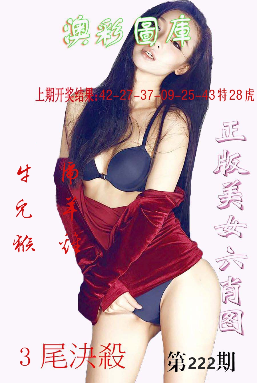 澳门图库 第222期