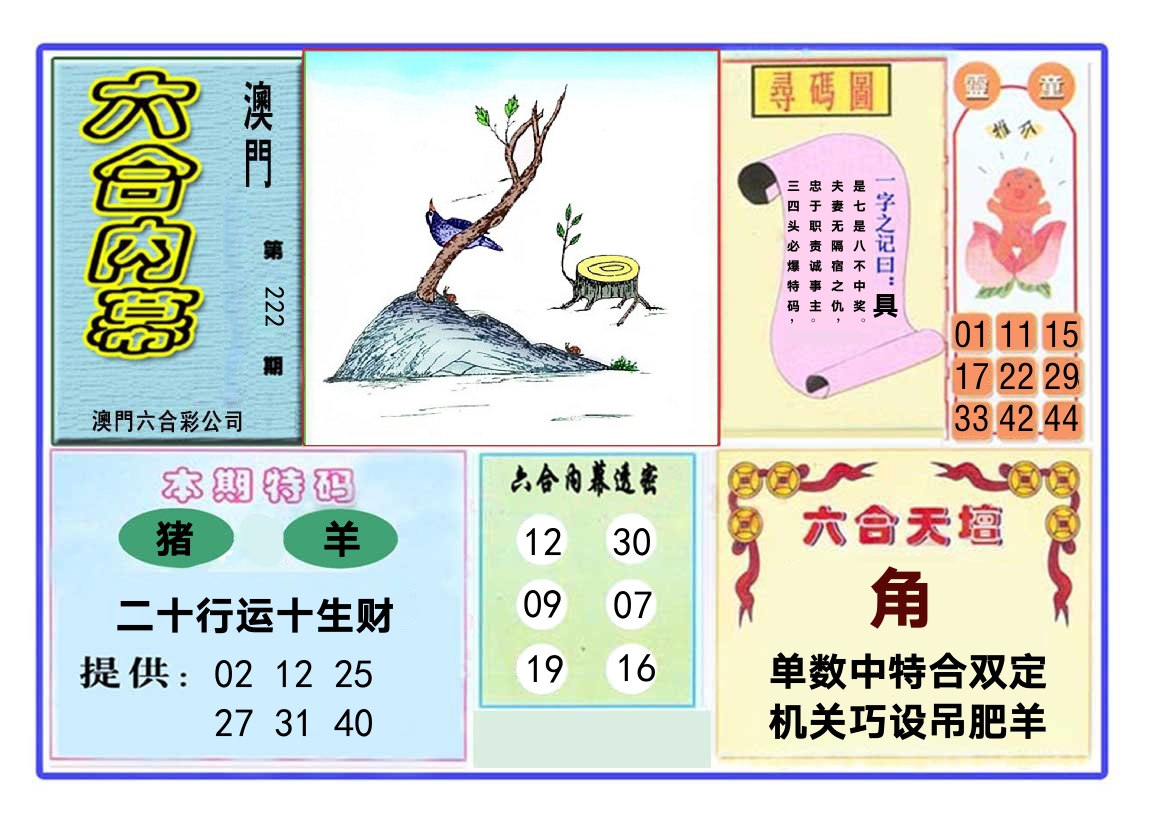 六合内幕 第222期