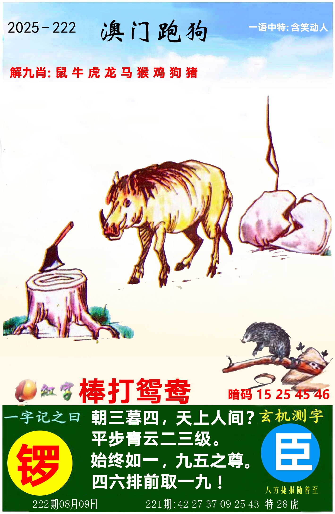 澳门跑狗图 第222期